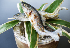 鮎
